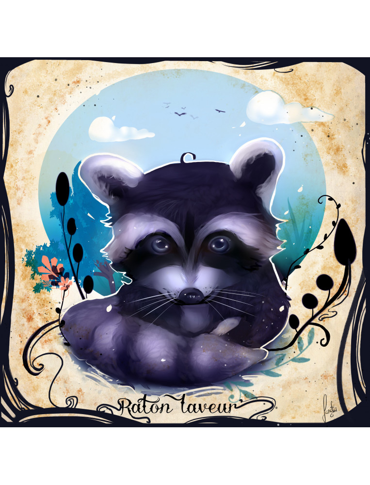 Raton Laveur Raton Laveur