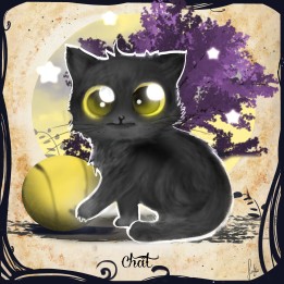 Chat