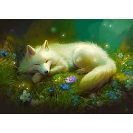 Carte A5 — White Fox