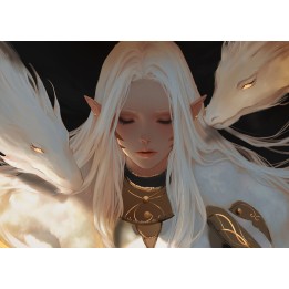 Elfe Dragonblanc